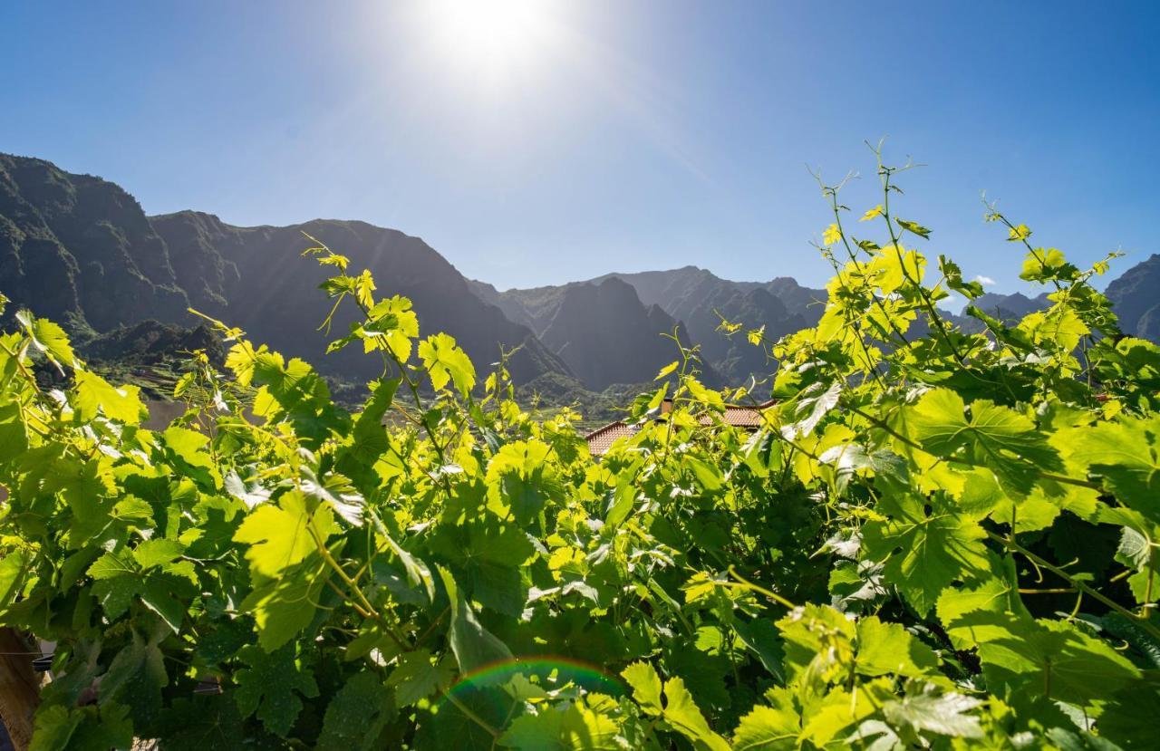Vila Quinta Vale Vitis São Vicente Exteriér fotografie