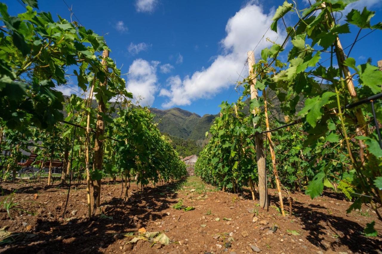 Vila Quinta Vale Vitis São Vicente Exteriér fotografie